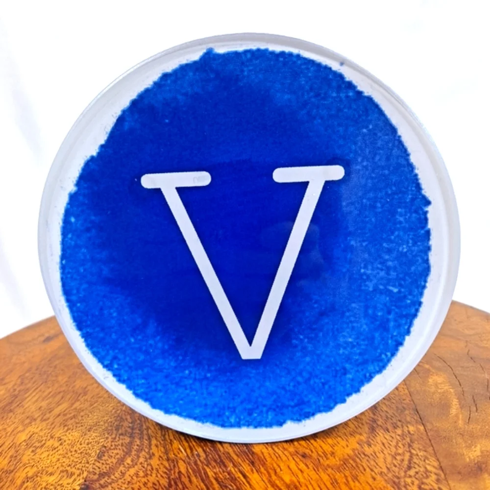 West Elm Blue Monogram V Ceramic Trinket Dish